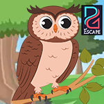 Palani Games Owl Rescue E…