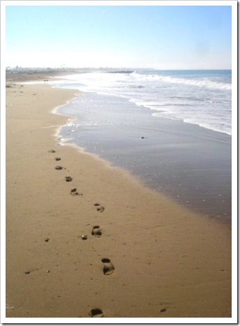 Footsteps on the beach