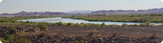 IMG_1296