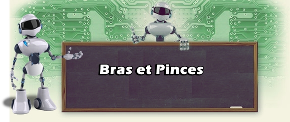 Bras et Pinces