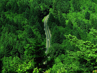 beautiful roads images