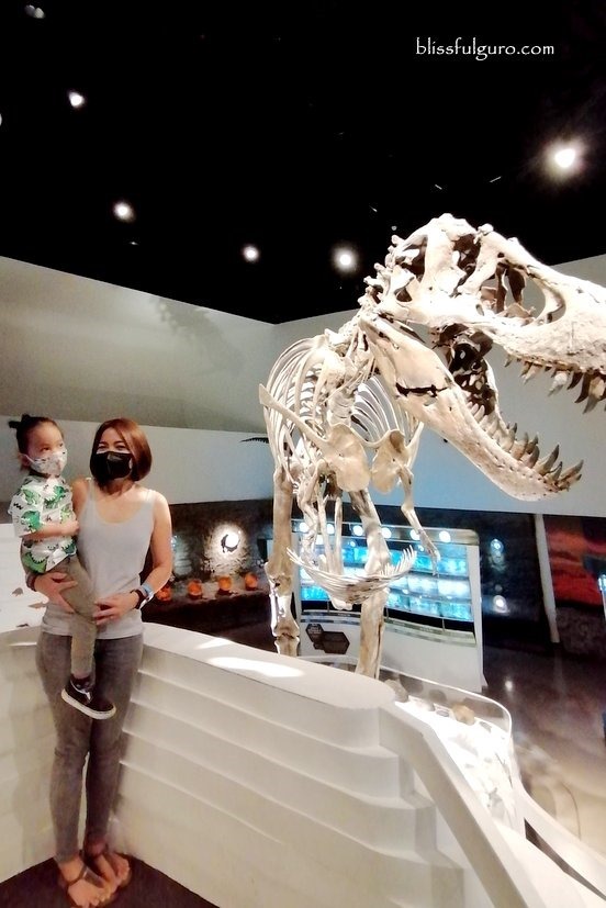 Mind Museum BGC Taguig T-Rex