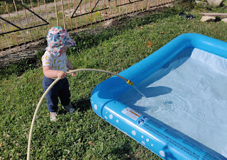 Rosie filling the pool