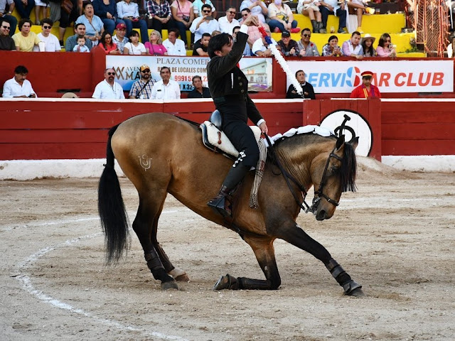 Foto: Toros Yucatán