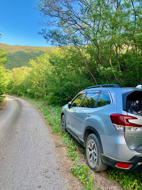 巴層巴墨山登山口旁停車