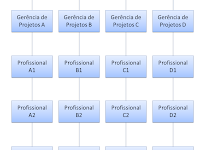 Estrutura Organizacional De Uma Empresa Exemplo