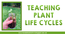 Explore the plant life cycle with these handy set by step lesson idea for teachers. Perfect for early years students. Teaching resources you can download today. 