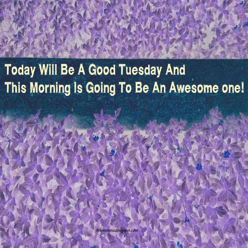 Today will be a good tuesday and this morning is going to be an awesome one.