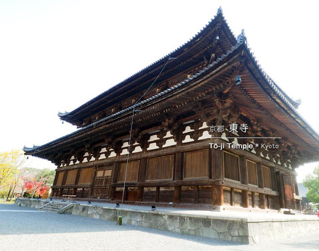 [京都] 東寺の紅葉