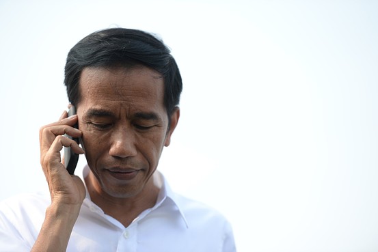 SDLT FM 107,9 TAKENGON: Alhamdulillah , Sapi Kurban Jokowi 