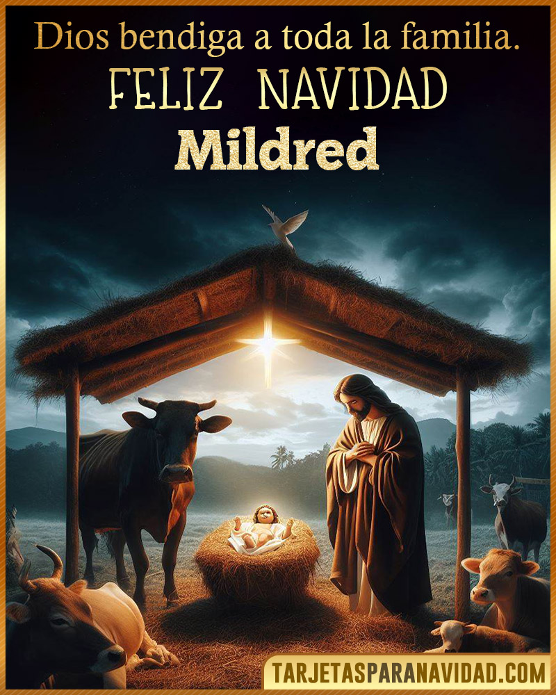 Feliz Navidad Mildred