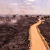 Incêndio de grandes proporções destrói mais de 500 hectares em Boa Ventura