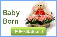http://www.bunga24.com/p/bunga-baby-born.html