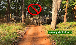 rules and regulations of dudhwa national park