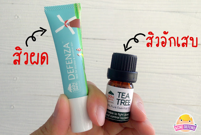 รักษาสิวด้วย Defenza cream และ Skinplants Tea Tree Oil