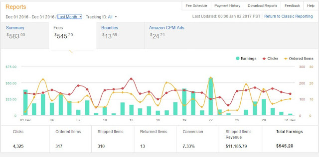 Earning Report of a Month in Amazon Associates