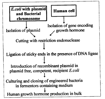 Solutions Class 12 Biology Chapter-12 (Biotechnology and its Applications)