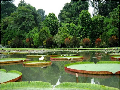 Kebun Raya Bogor | Wisata Alam Bogor