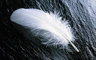 Feather On Black Screen wallpaper