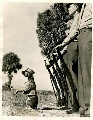 Soldiers with Pets Seen On www.coolpicturegallery.us