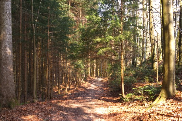 autriche salzkammergut attersee randonnée unternach