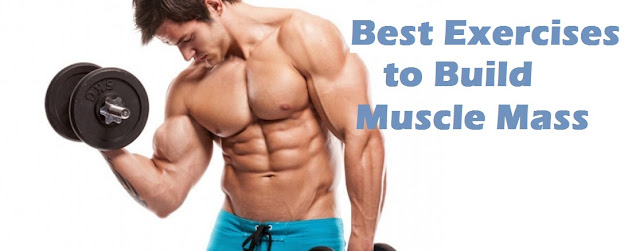 best muscle building exercises