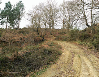 Baranbio, llegando al collado de las minas