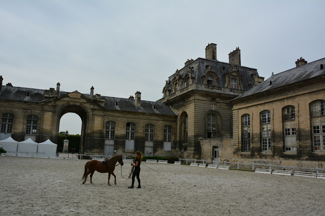 Musee de cheval Chantilly