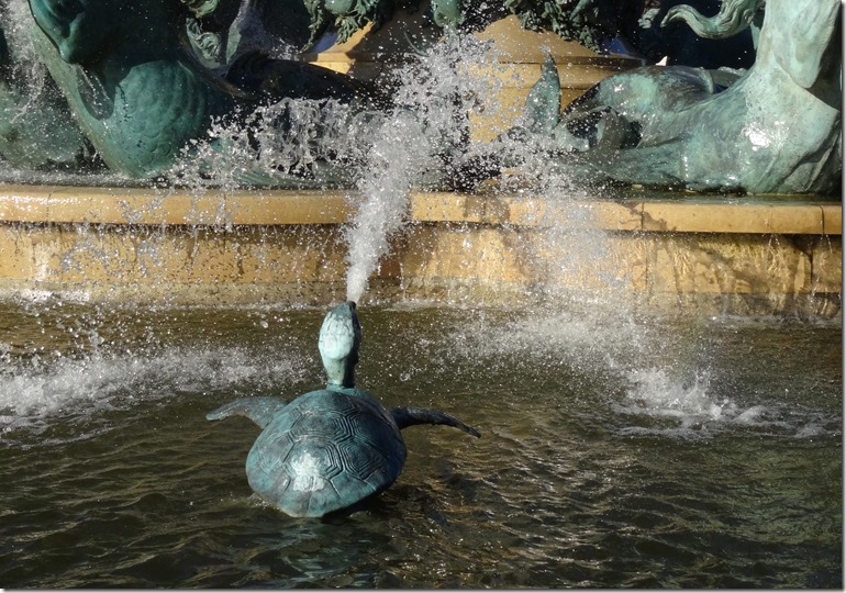 Paris 2016 grandes explorateurs spitting turtles 112816 00000