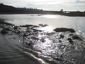 View of Interstate 5 from San Elijo Lagoon