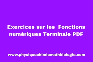 Exercices sur les  Fonctions numériques Terminale PDF