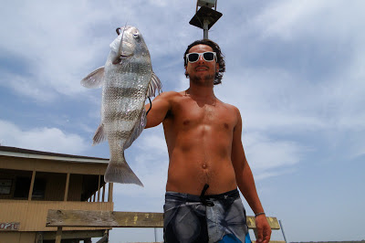 Scott Grundauser Black Drum Catch