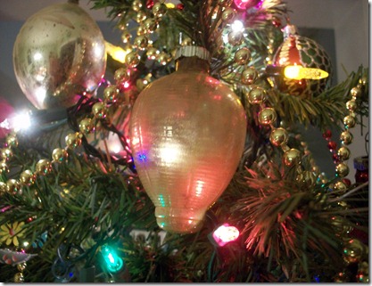 christmas trees 2011 011