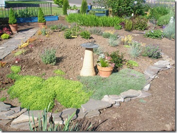 Yard and Emma 055