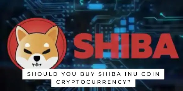Should You Buy shiba inu coin cryptocurrency?