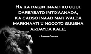 Ahmed Omaar motivational quotes, Somali quotes