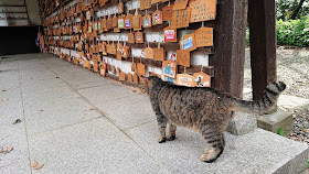 大阪府高槻市 上宮天満宮 猫神社 ねこ神社