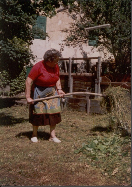 1994 2a