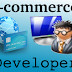 E-Commerce Developer - Leading Ahead The Web World