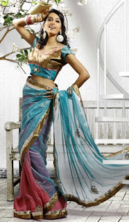 Party-Wear-Saree-with-Nice-Border