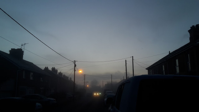 Project 366 2016 day 42 - Cold morning // 76sunflowers