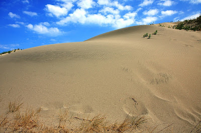  La Paz Sandunes