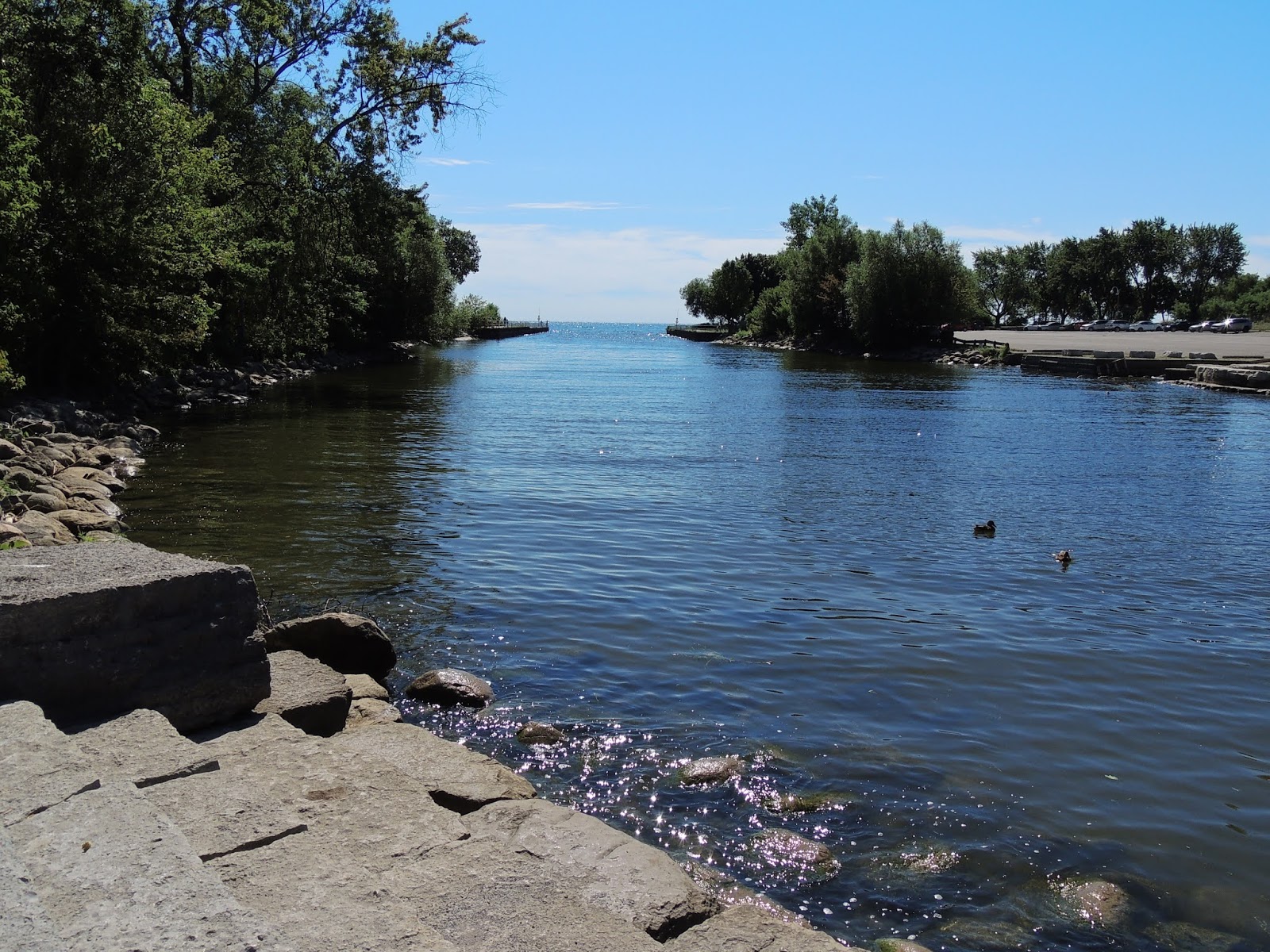 Marie Curtis Park Fishing