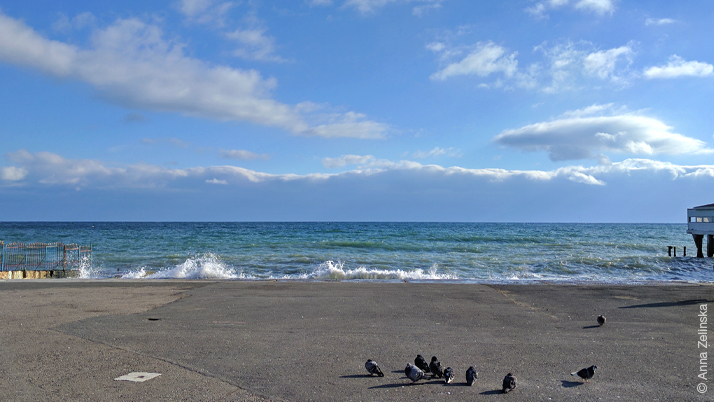 Черное море, Алушта