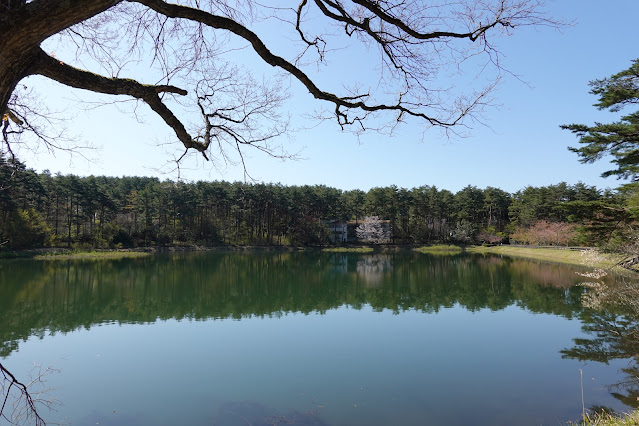 鳥取県西伯郡伯耆町丸山 大成池