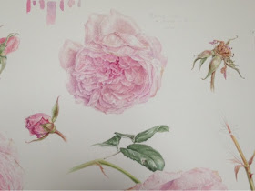 rose detail Olivia