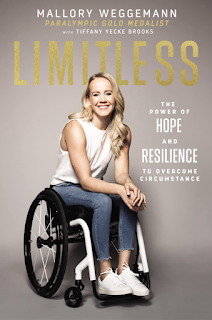 Limitless Book Cover