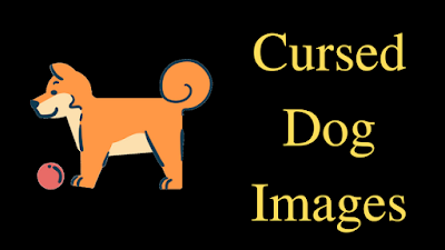Cursed Dog Images