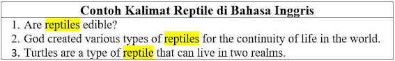 22 Contoh Kalimat Reptile di Bahasa Inggris dan Pengertiannya