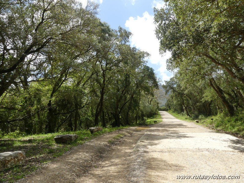 Carril Cicloturista Camino de Ojén